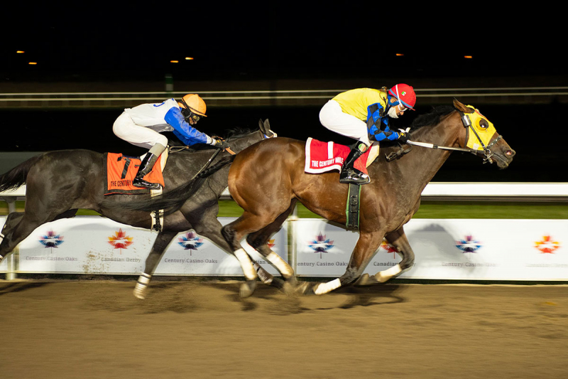 Trooper John at Century Mile in October 2020