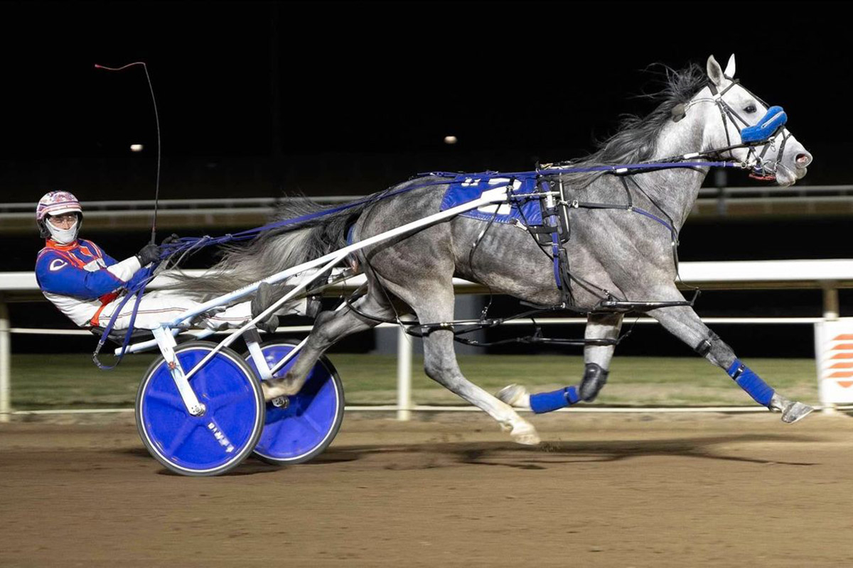 Grey Horizon with driver/trainer Brandon Campbell winning the Western Canadian Pacing Derby at Century Mile