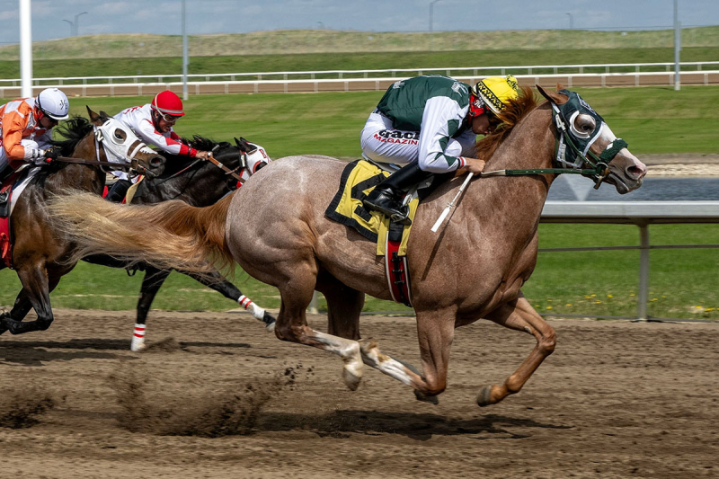 Pretty Sweet Jess winning at Century Mile