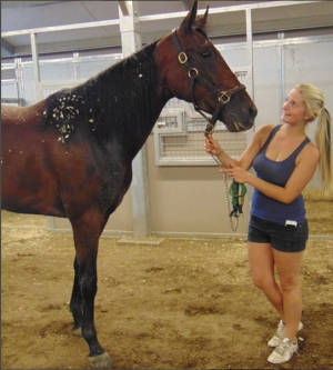 The Race &amp; Pace - Here to Stay