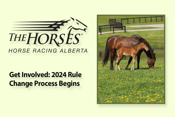 Get Involved: 2024 Rule Change Process Begins