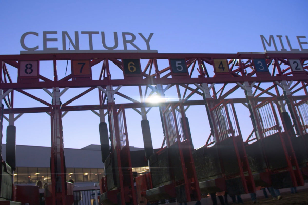 Female Jockey Charity Race to Support Ovarian Cancer this Saturday