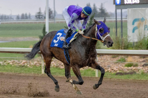Big Hug and Rafael Zentena Jr. in the Alberta Classic Distaff at Century Mile