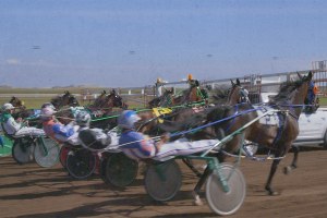 Unique Training Regimen Puts One-Horse Wonder G TS Skyla on the Fast Track to Success