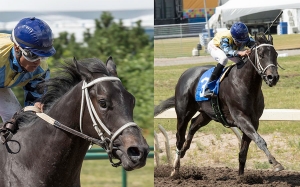 Norm's Big Bucks in the stretch of the 27th running of the 2-Year-Old Sales Stake at Northlands Park, Keishan Balgobin, jockey/Tim Rycroft, trainer