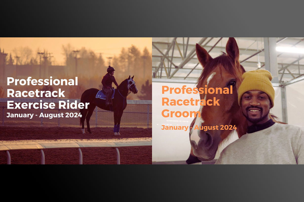 Professional Groom or Exercise Rider Program - Olds College