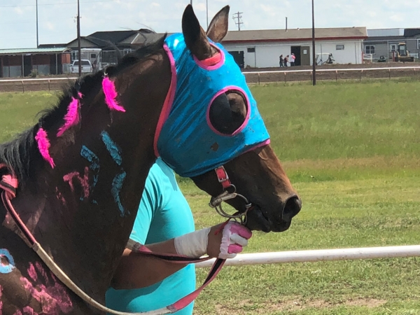 Relay horse and holder heading to the start line