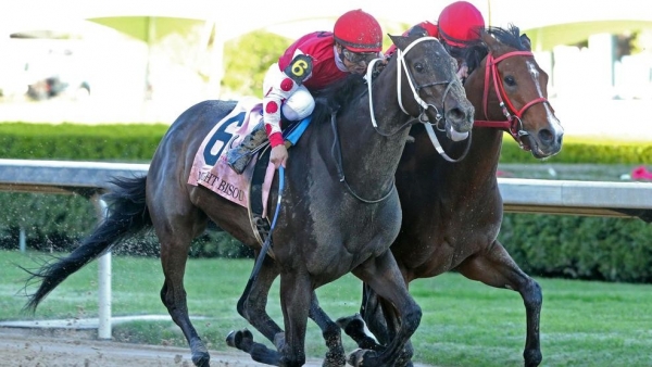 MIDNIGHT BISOU - The Apple Blossom G1 - 55th Running - 04-14-19
