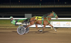 Dave Kelly piloting Rockin Mystery in the Alberta Marquis final at Century Mile on Friday night