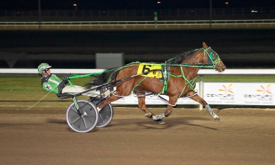 Dave Kelly piloting Rockin Mystery in the Alberta Marquis final at Century Mile on Friday night