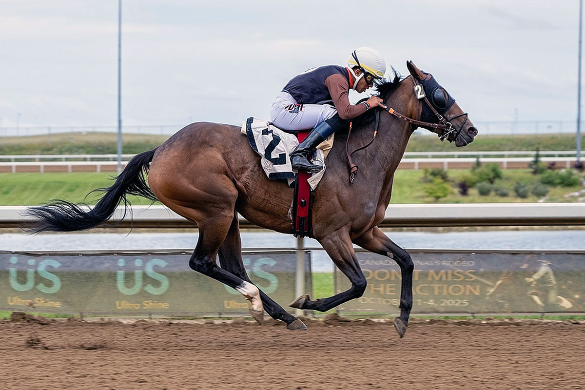 Loveaboveandbeyond and Jose Asencio in the stretch at Century Mile on August 15, 2025