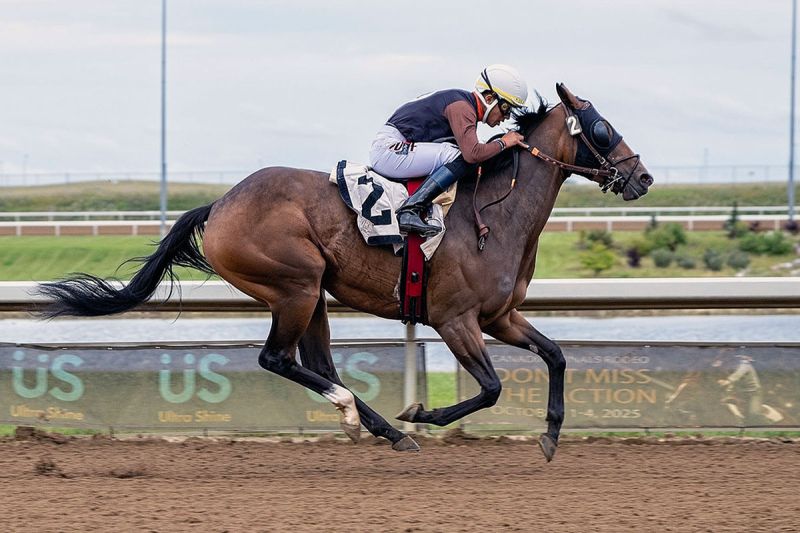 Loveaboveandbeyond and Jose Asencio in the stretch at Century Mile on August 15, 2025