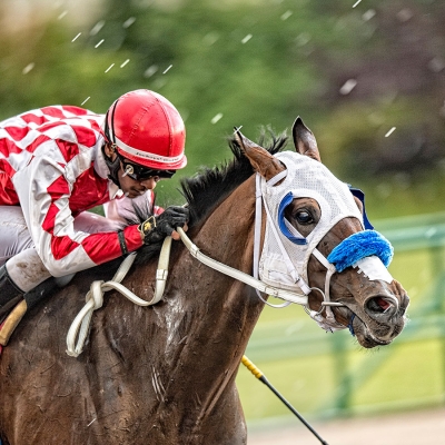 Walcott cleared to race within four weeks