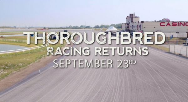 Thoroughbreds return to Calgary (video)