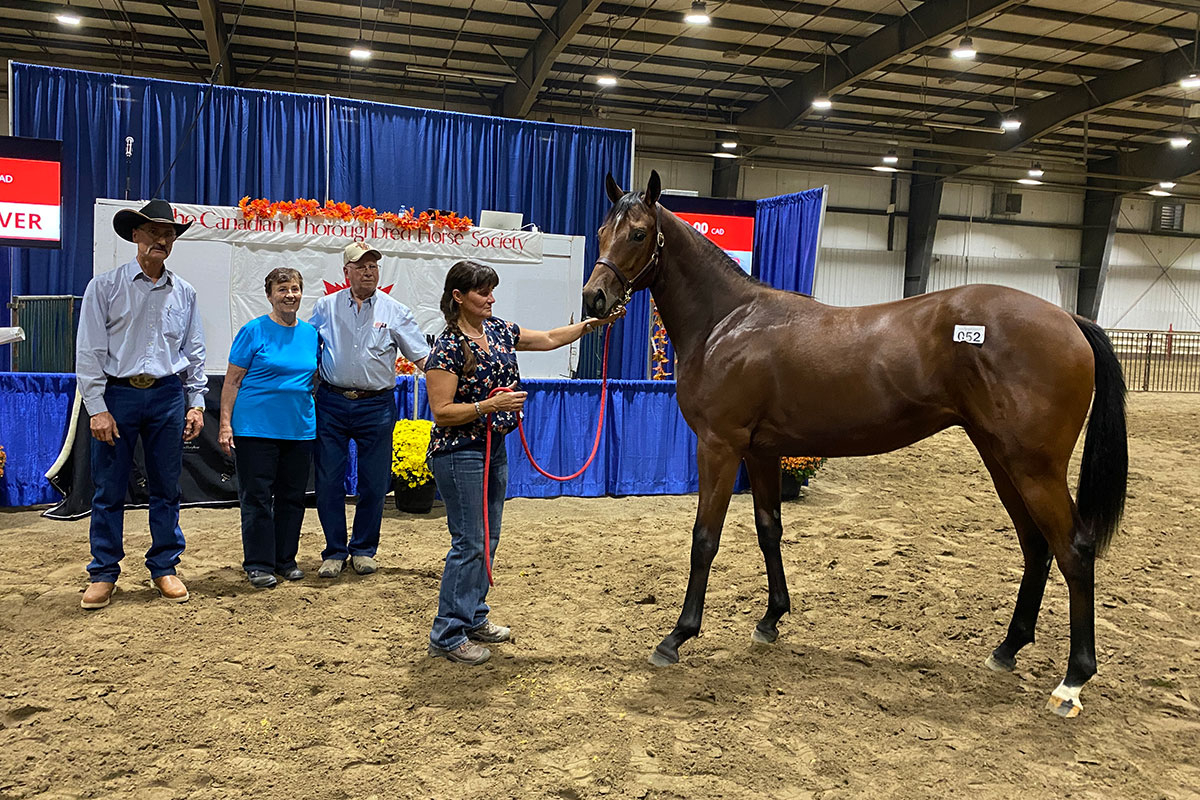 Vekoma’s Pride, the sales topper of the 2025 CTHS Alberta Thoroughbred Sale