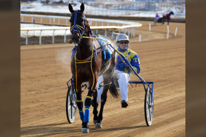 Starflight/Tyler Redwood