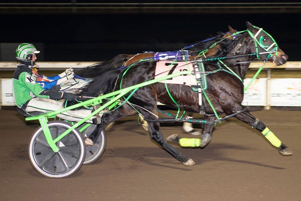 Dave Kelly and Big Shir at Century Mile on November 23rd