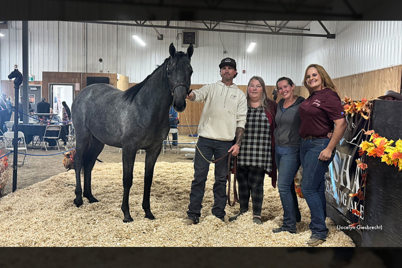 Record-Setting Forbearance Tops ASHA Yearling Sale