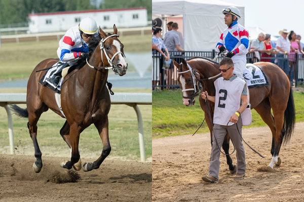 Infinite Patience winning the Northlands Distaff and in the paddock at Century Mile on August 20, 2022