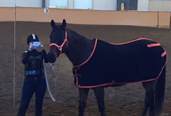 Cooling down in the McClellan Arena at Olds College