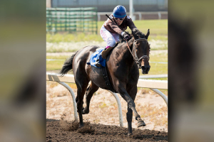 Shannon Beauregard and Port Protection, winner of the The 44th Running of The Duchess of York