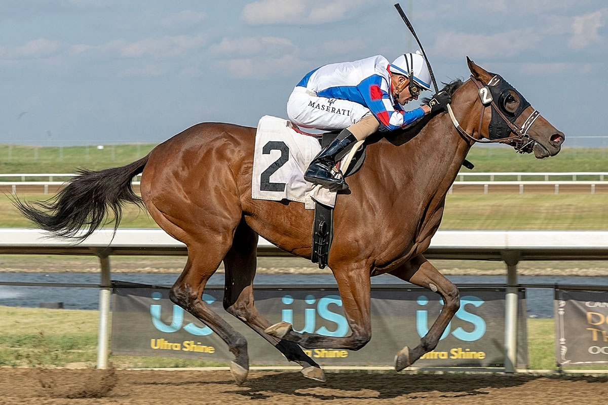 Gee I'm Foxy and jockey Keihton Natera in the stretch of the Chariot Chaser