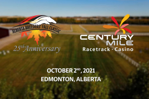The 25th running of the Alberta Breeders' Fall Classic - October 2, 2021 | Post time: 1:15 pm