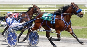 Crackle N Burn winning at Century Downs