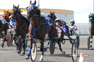 Unpredictable Virtual Horizon Keeps Everyone Guessing Ahead of Plainsman Eliminations