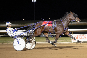 Outlawminutbyminut and Logan Gillis in the Shooting Star Stake on October 19, 2024