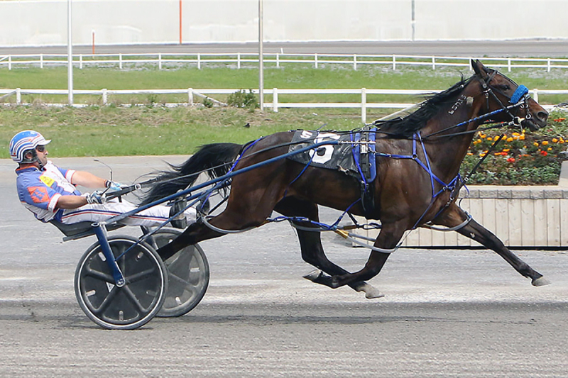 Midnight Mover Upsets Shark Week in Speed Duel at Century Mile