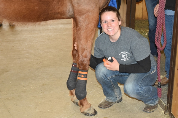 Introducing the Professional Racetrack Groom Course