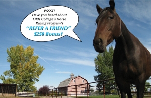 It Pays to be a Good Friend