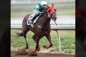 Dance Shoes and jockey Alexander Marti at Century Mile August 22, 2021