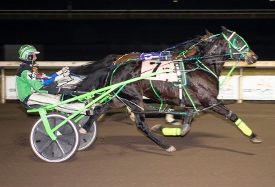 Dave Kelly and Big Shir at Century Mile on November 23rd (Chris Lancaster - Trainer)