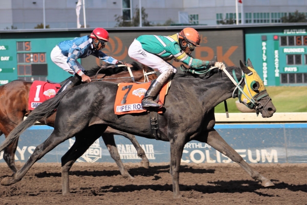 Rey Williams aboard Piper Rose at Northlands Park for Alberta Breeders' Fall Classic