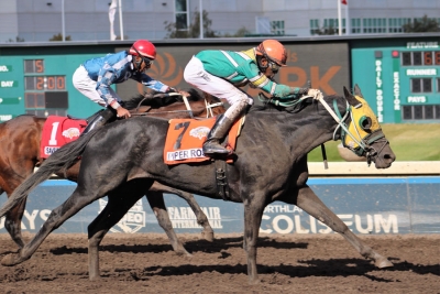 Rey Williams aboard Piper Rose at Northlands Park for Alberta Breeders' Fall Classic