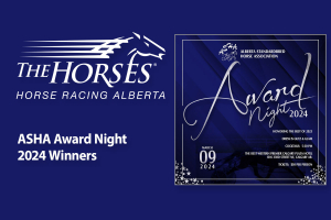 2024 ASHA Awards Night Winners