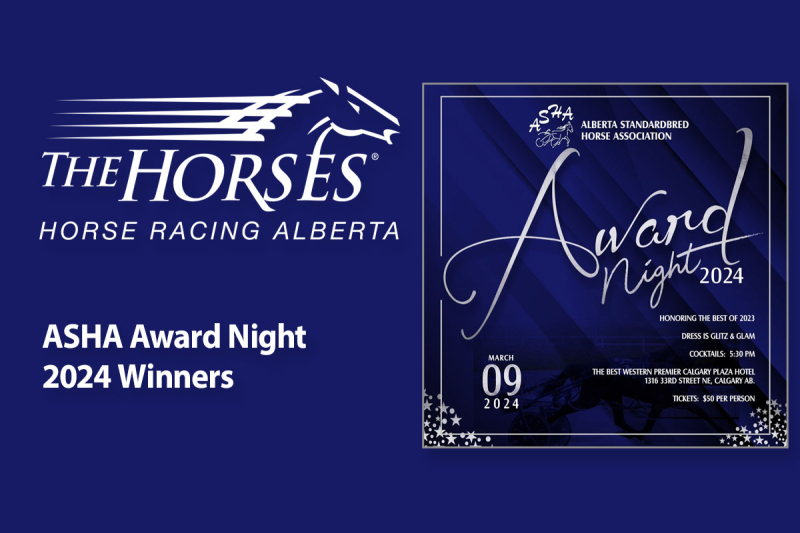 2024 ASHA Awards Night Winners