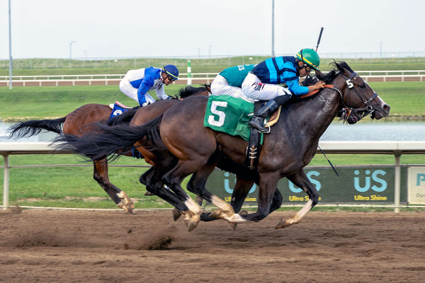 American Blaze winning the Count Latham on July 22, 2023