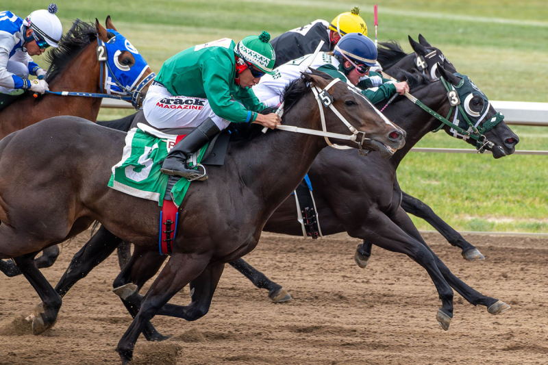 Too Tough to Quit: Bucky Stockwell Eyes 85 as Quarter Horses Keep Him in the Game