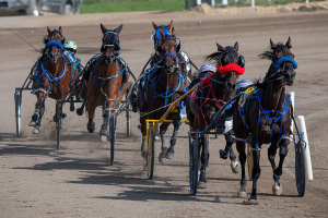 Heartfelt Victory: Custers Stand Triumphs at Century Mile, Bringing Joy to Owner Willie Neish Amid Battle with Dementia