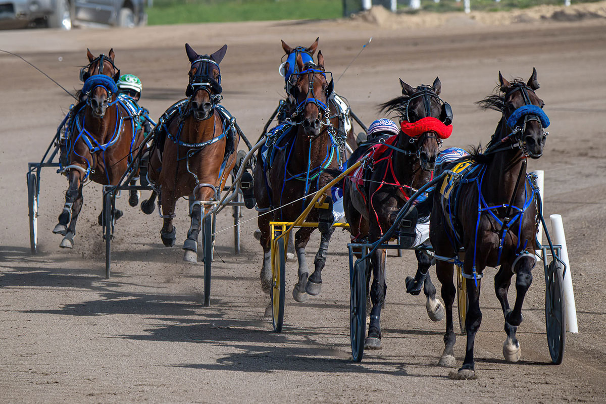 Heartfelt Victory: Custers Stand Triumphs at Century Mile, Bringing Joy to Owner Willie Neish Amid Battle with Dementia