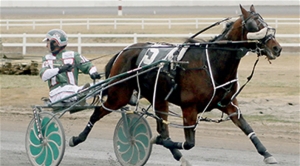 Exit Smiling winning the Alberta Maverick at Century Downs