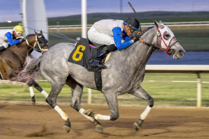 Al Reichert and jockey Keihton Natera in the stretch of the Journal Handicap