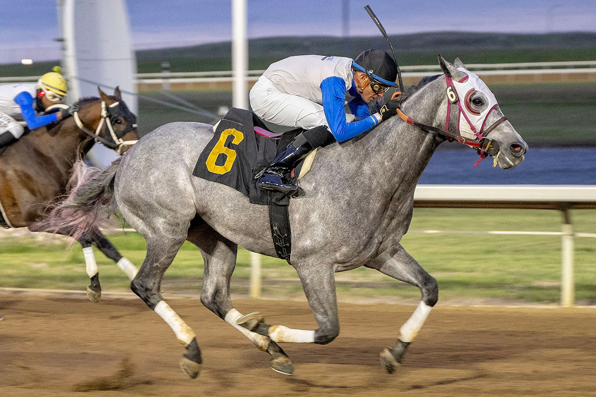 Al Reichert and jockey Keihton Natera in the stretch of the Journal Handicap