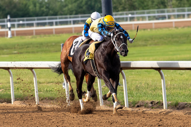 Andre Martin aboard Striders Ring battling Rico Walcott and Eddyshak in the stretch at Century Mile - June 11, 2021