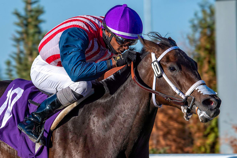 Rico Walcott at Century Mile