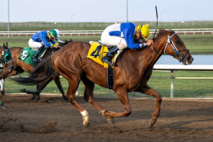 Mine Me at 18-1 winning by a length over Plum Blue in the Shirley Vargo Handicap with Keihton Natera aboard