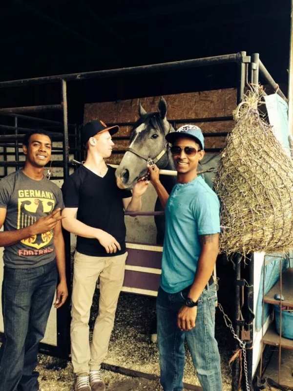 Abeel and connections